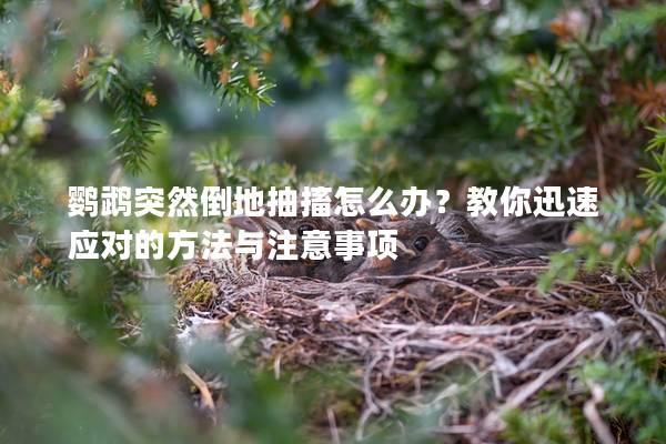 鹦鹉突然倒地抽搐怎么办？教你迅速应对的方法与注意事项
