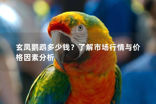 玄凤鹦鹉多少钱？了解市场行情与价格因素分析