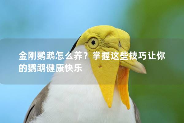 金刚鹦鹉怎么养？掌握这些技巧让你的鹦鹉健康快乐