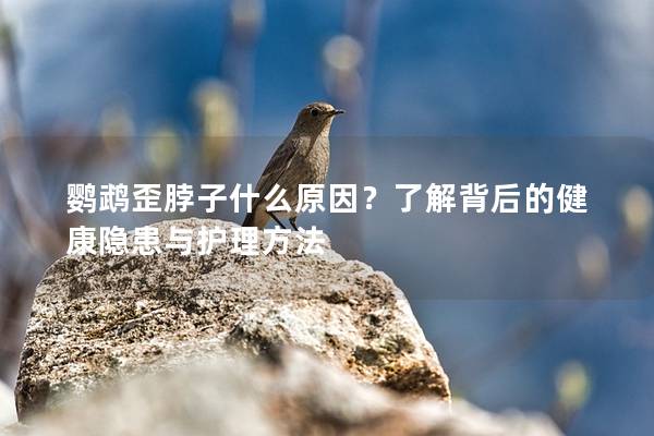 鹦鹉歪脖子什么原因？了解背后的健康隐患与护理方法