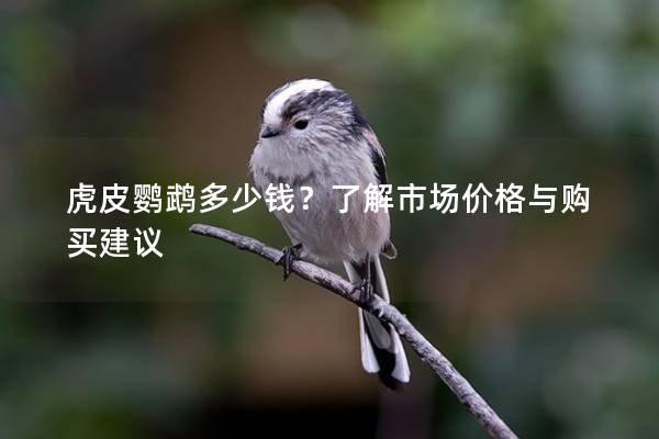 虎皮鹦鹉多少钱？了解市场价格与购买建议