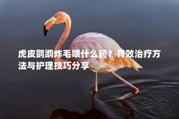 虎皮鹦鹉炸毛喂什么药？有效治疗方法与护理技巧分享