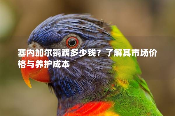 塞内加尔鹦鹉多少钱？了解其市场价格与养护成本