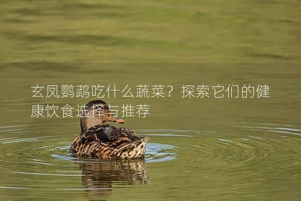 玄凤鹦鹉吃什么蔬菜？探索它们的健康饮食选择与推荐