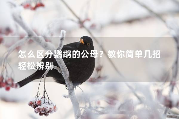 怎么区分鹦鹉的公母？教你简单几招轻松辨别