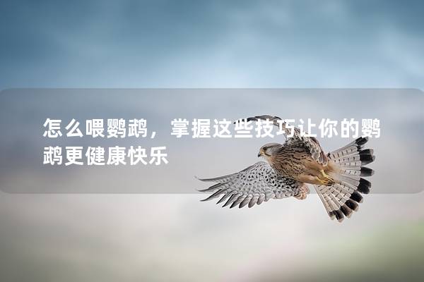 怎么喂鹦鹉，掌握这些技巧让你的鹦鹉更健康快乐