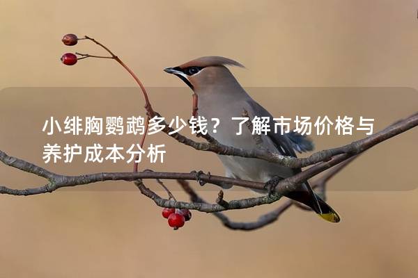 小绯胸鹦鹉多少钱？了解市场价格与养护成本分析