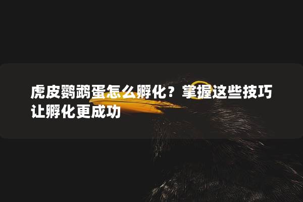 虎皮鹦鹉蛋怎么孵化？掌握这些技巧让孵化更成功