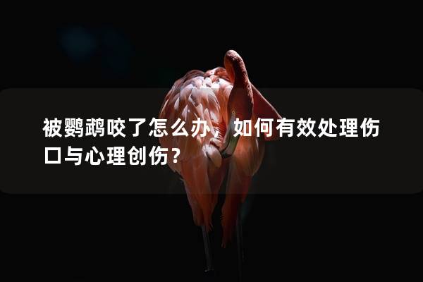 被鹦鹉咬了怎么办，如何有效处理伤口与心理创伤？