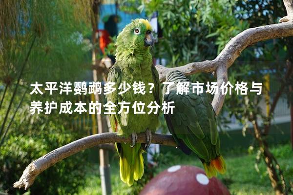 太平洋鹦鹉多少钱？了解市场价格与养护成本的全方位分析