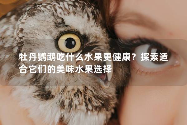 牡丹鹦鹉吃什么水果更健康？探索适合它们的美味水果选择