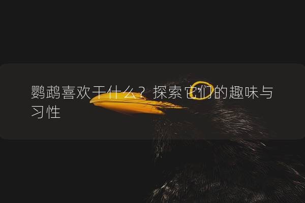 鹦鹉喜欢干什么？探索它们的趣味与习性