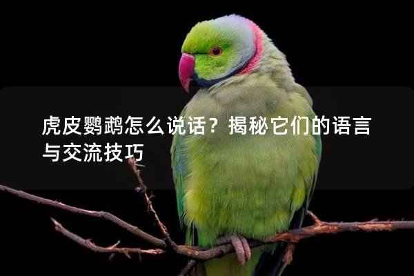 虎皮鹦鹉怎么说话？揭秘它们的语言与交流技巧