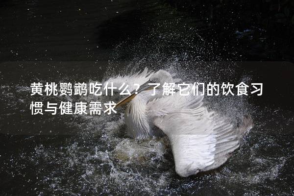 黄桃鹦鹉吃什么？了解它们的饮食习惯与健康需求