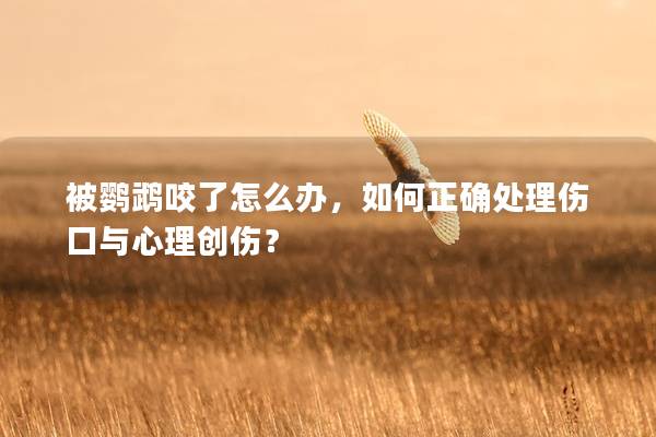 被鹦鹉咬了怎么办，如何正确处理伤口与心理创伤？