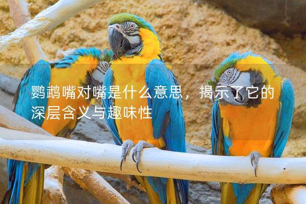 鹦鹉嘴对嘴是什么意思，揭示了它的深层含义与趣味性