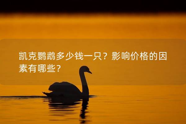 凯克鹦鹉多少钱一只？影响价格的因素有哪些？