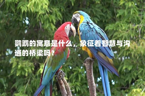 鹦鹉的寓意是什么，象征着智慧与沟通的桥梁吗？