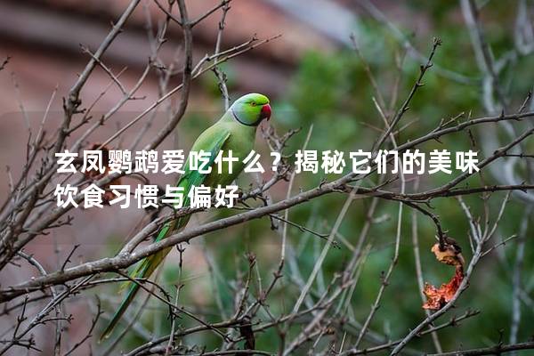 玄凤鹦鹉爱吃什么？揭秘它们的美味饮食习惯与偏好