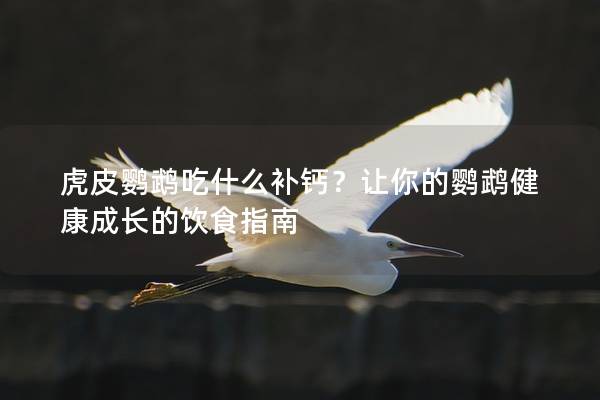 虎皮鹦鹉吃什么补钙？让你的鹦鹉健康成长的饮食指南
