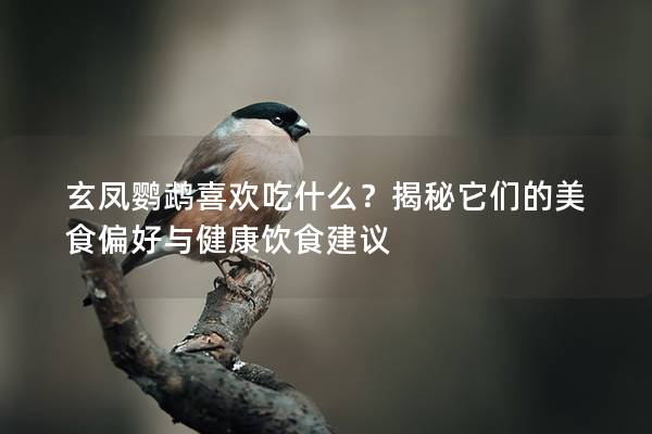 玄凤鹦鹉喜欢吃什么？揭秘它们的美食偏好与健康饮食建议