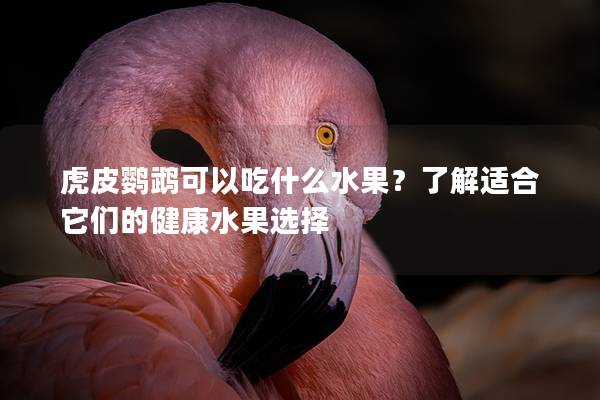 虎皮鹦鹉可以吃什么水果？了解适合它们的健康水果选择