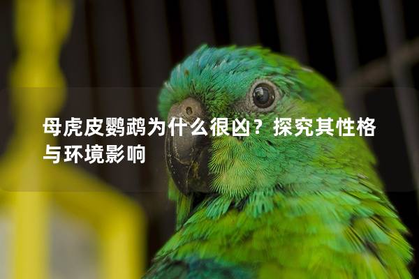 母虎皮鹦鹉为什么很凶？探究其性格与环境影响