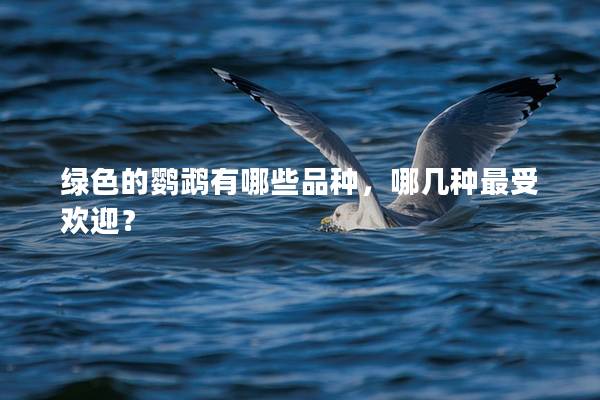 绿色的鹦鹉有哪些品种，哪几种最受欢迎？