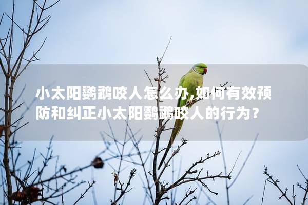 小太阳鹦鹉咬人怎么办,如何有效预防和纠正小太阳鹦鹉咬人的行为？