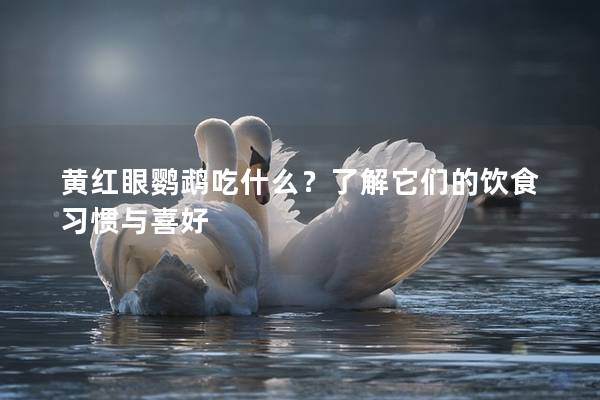 黄红眼鹦鹉吃什么？了解它们的饮食习惯与喜好
