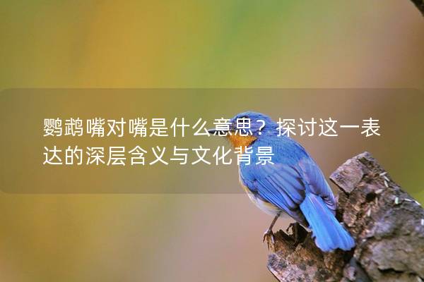 鹦鹉嘴对嘴是什么意思？探讨这一表达的深层含义与文化背景