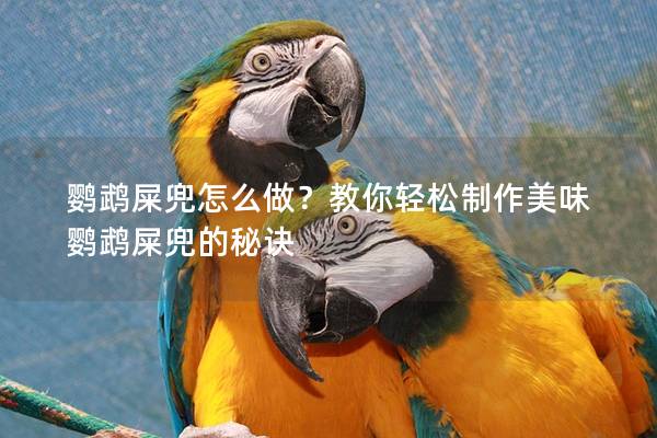 鹦鹉屎兜怎么做？教你轻松制作美味鹦鹉屎兜的秘诀