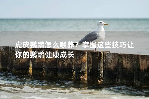 虎皮鹦鹉怎么喂养？掌握这些技巧让你的鹦鹉健康成长