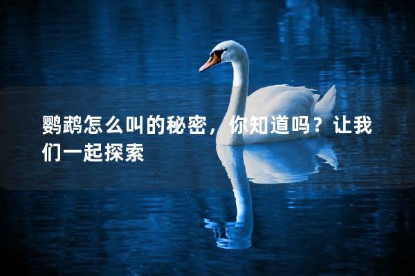 鹦鹉怎么叫的秘密，你知道吗？让我们一起探索