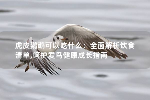 虎皮鹦鹉可以吃什么：全面解析饮食清单,呵护爱鸟健康成长指南