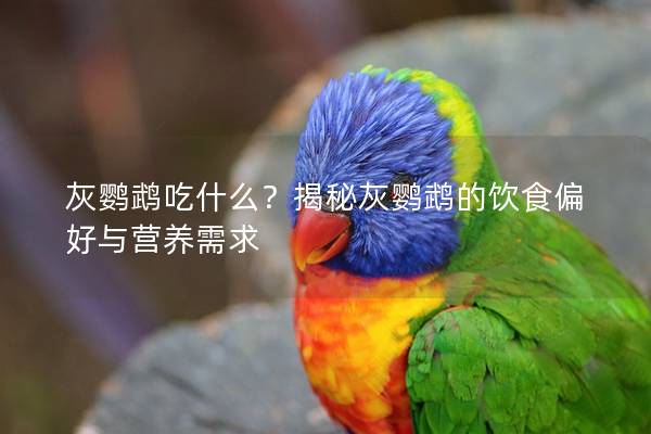 灰鹦鹉吃什么？揭秘灰鹦鹉的饮食偏好与营养需求