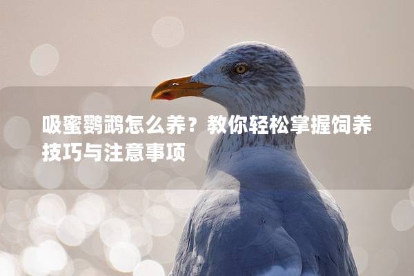 吸蜜鹦鹉怎么养？教你轻松掌握饲养技巧与注意事项