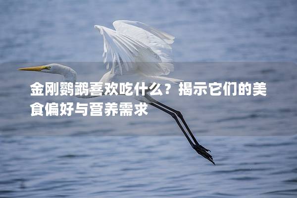金刚鹦鹉喜欢吃什么？揭示它们的美食偏好与营养需求