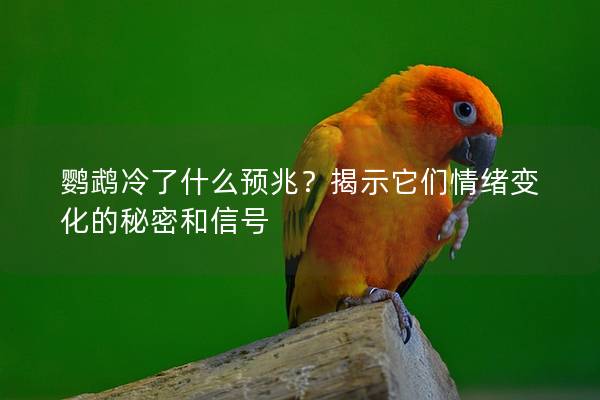 鹦鹉冷了什么预兆？揭示它们情绪变化的秘密和信号