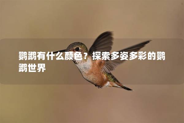 鹦鹉有什么颜色？探索多姿多彩的鹦鹉世界