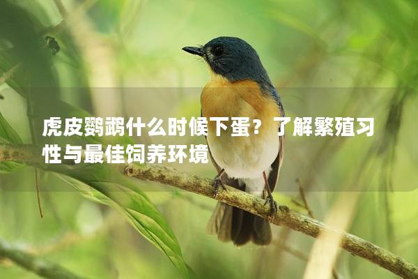 虎皮鹦鹉什么时候下蛋？了解繁殖习性与最佳饲养环境