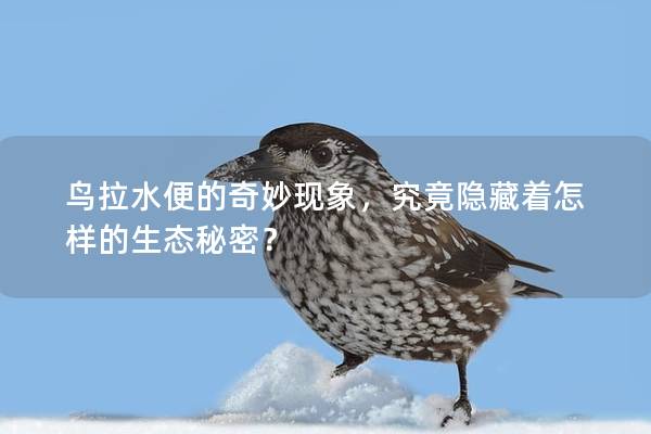 鸟拉水便的奇妙现象，究竟隐藏着怎样的生态秘密？