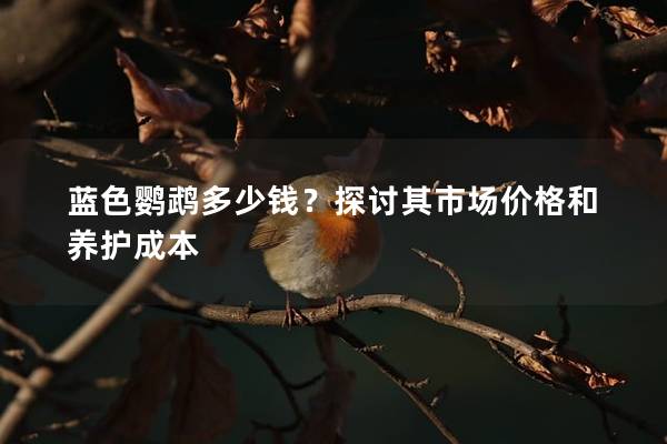 蓝色鹦鹉多少钱？探讨其市场价格和养护成本