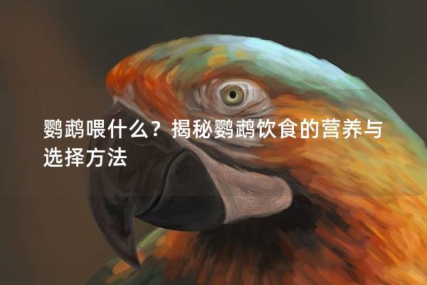鹦鹉喂什么？揭秘鹦鹉饮食的营养与选择方法