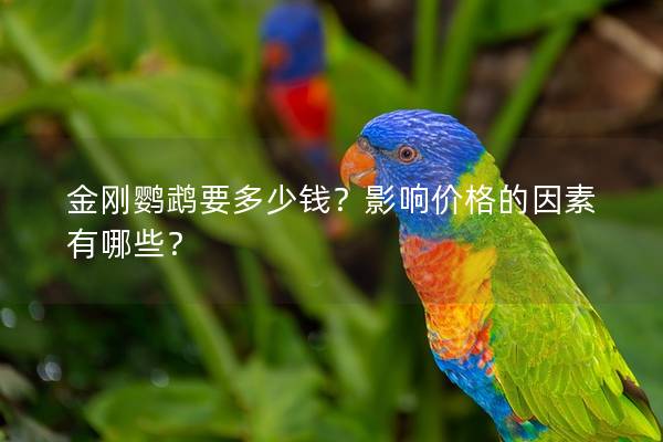 金刚鹦鹉要多少钱？影响价格的因素有哪些？