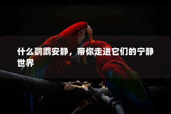 什么鹦鹉安静，带你走进它们的宁静世界