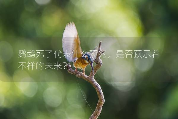 鹦鹉死了代表什么预兆，是否预示着不祥的未来？