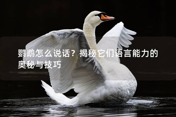 鹦鹉怎么说话？揭秘它们语言能力的奥秘与技巧