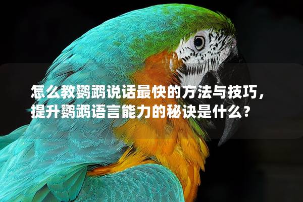 怎么教鹦鹉说话最快的方法与技巧，提升鹦鹉语言能力的秘诀是什么？