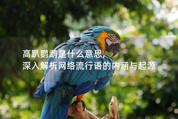 高趴鹦鹉是什么意思, 深入解析网络流行语的内涵与起源